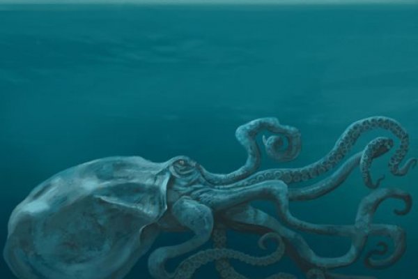 Kraken https